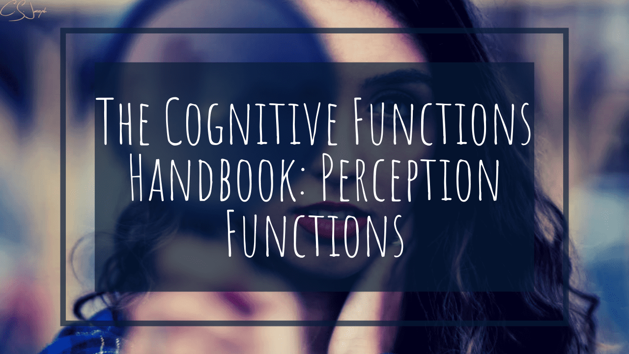 The Cognitive Functions Handbook Perception Functions C S Joseph